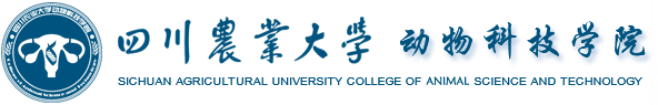 36365线路检测中心
